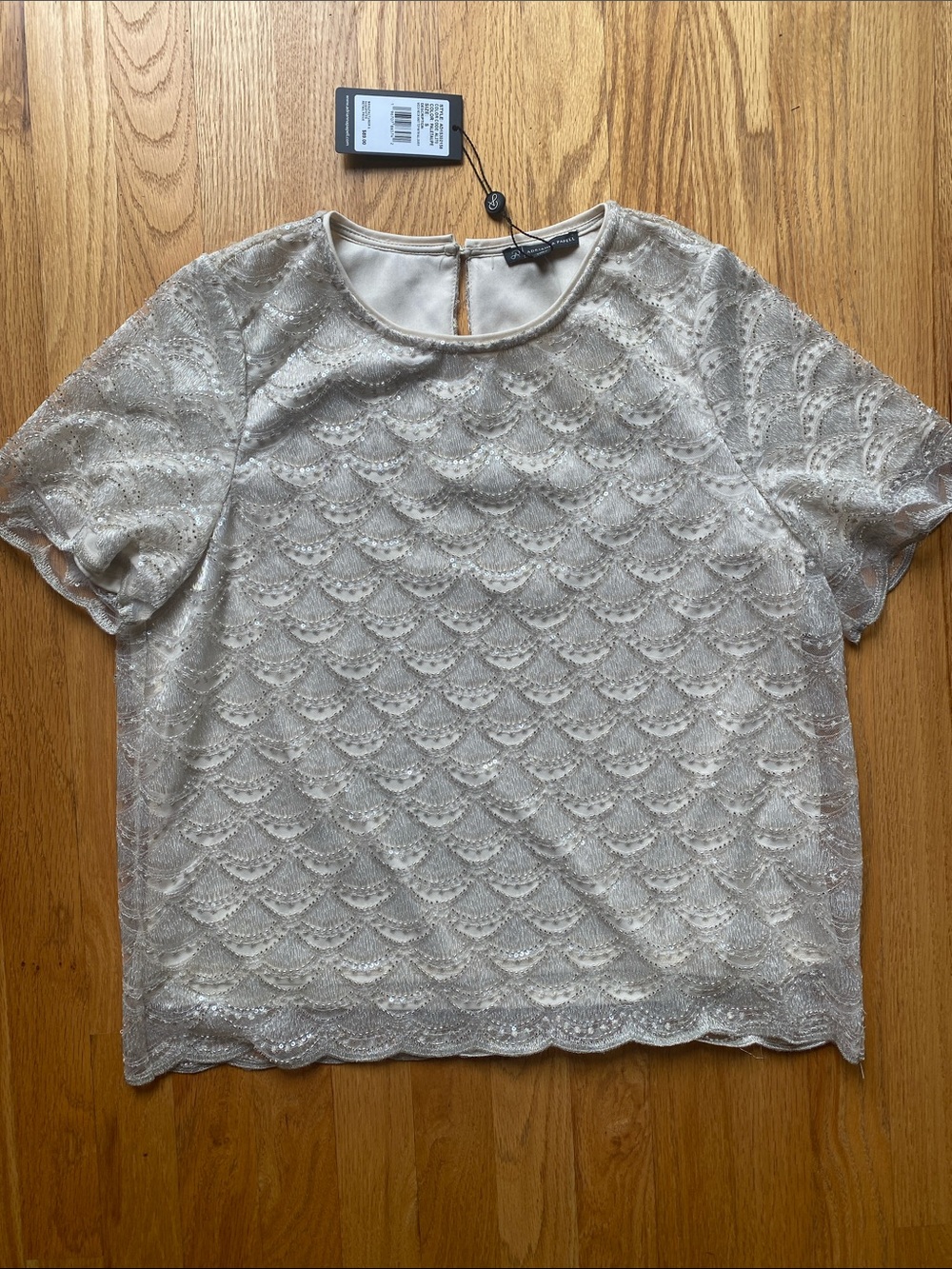 Adrianna Papell Champagne Lace Scallop Sleeve Blouse